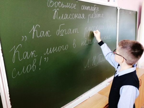 Педагоги пройдут курсовую подготовку по вопросам преподавания русского языка как государственного языка Российской Федерации